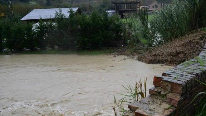 Il torrente Egola invade campi chiusa la strada provinciale