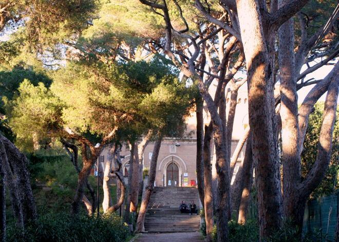 Venti progetti per rinnovare pineta Marradi 