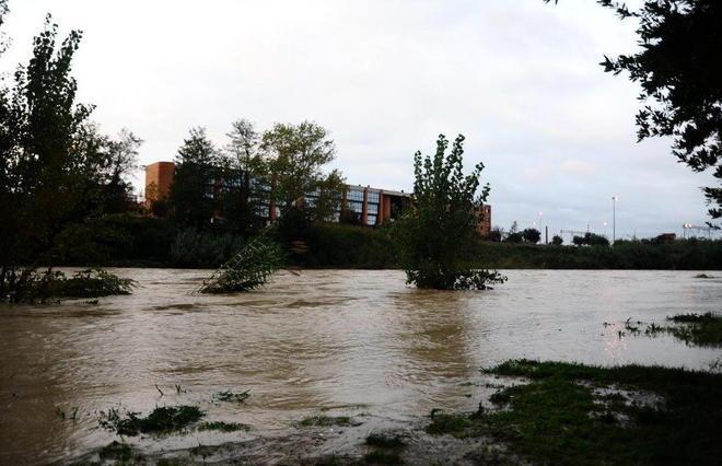 «Mai vista una piena così» Il fiume esonda nei campi 