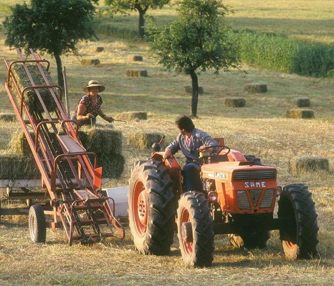 Tagli alle imprese agricole: è allarme Pac 
