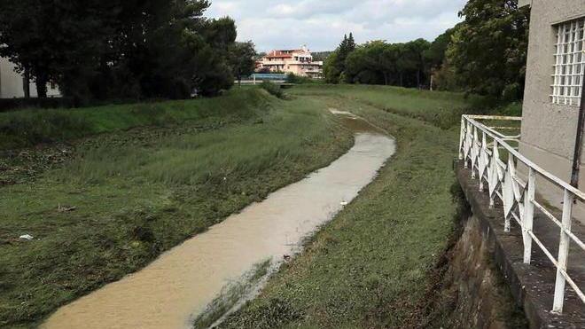 Chiarezza sulle cause dei danni, a chiederlo è il Pdl