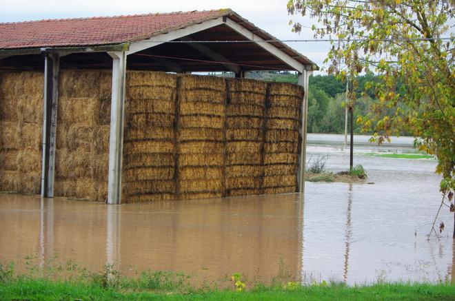Aziende agricole in ginocchio Il Cecina torna a far paura 