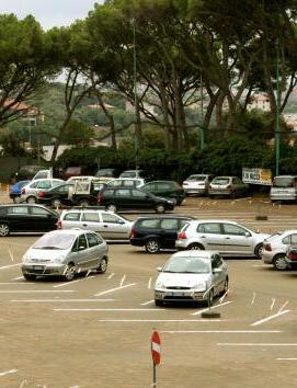 Venti proposte per il piano pineta 