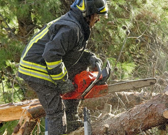 Cadono alberi sulla Fi-Pi-Li a Empoli e sulla Sp 65 a Gambassi