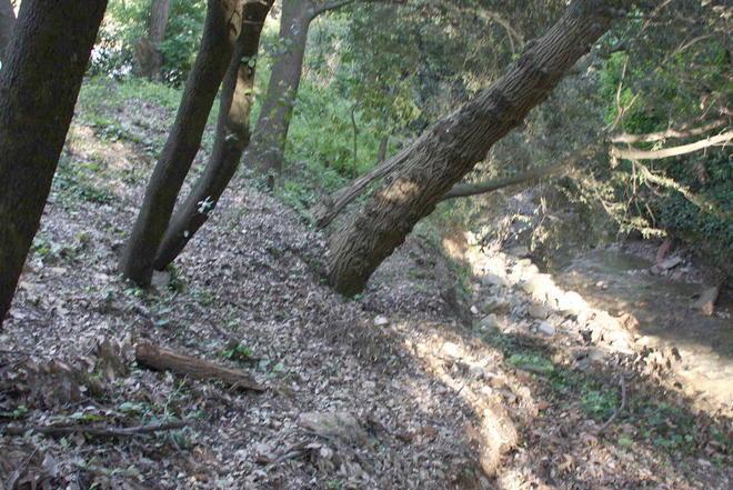 Due fungaioli persi nel bosco, li trovano i pompieri 