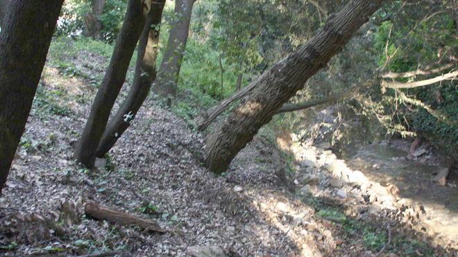 Due fungaioli persi nel bosco, li trovano i pompieri