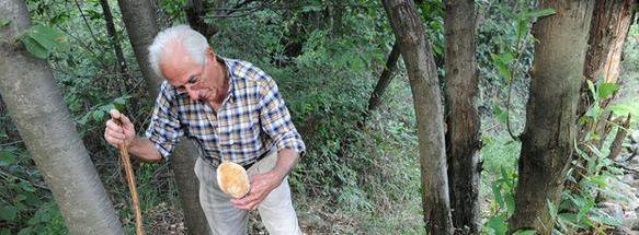 A passeggio a conoscere i funghi
