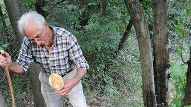 A passeggio a conoscere i funghi