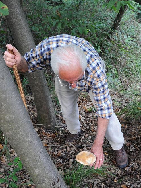 Tutti pazzi per i funghi. E fioccano le multe 
