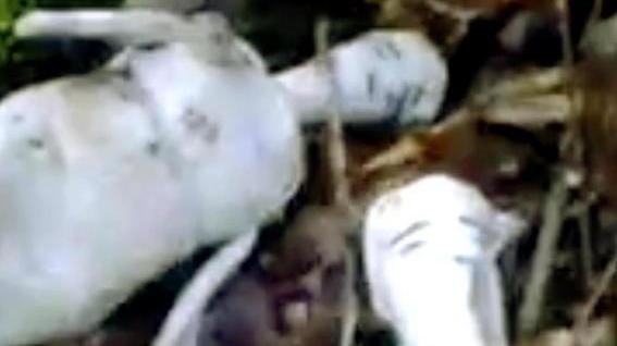 Bamboline Voodoo e un cranio la macabra scoperta nel bosco
