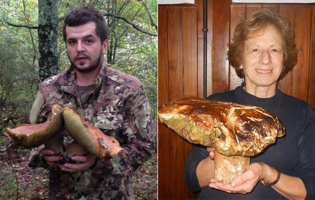 CURIOSITA’ / Funghi, che passione. E che record 