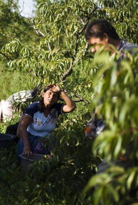 Terreni agricoli, addio agevolazioni 