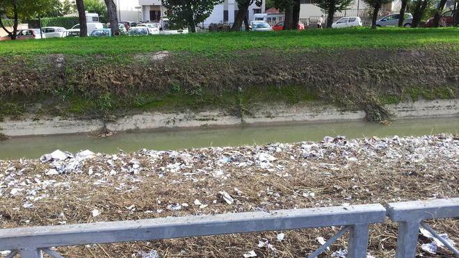 Fosso del Mulino, rifiuti sotto le erbacce
