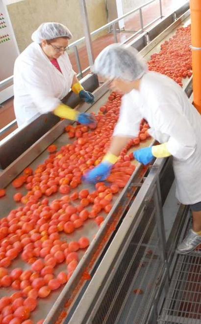 Trovare lavoro? L’agricoltura offre nuove opportunità 