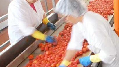 Trovare lavoro? L’agricoltura offre nuove opportunità