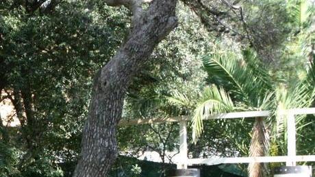 Addio alla discoteca Villette e piscina dov’erano Le Spianate