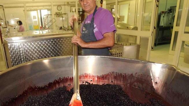 Dieci perle di Toscana per un trionfo di ricette