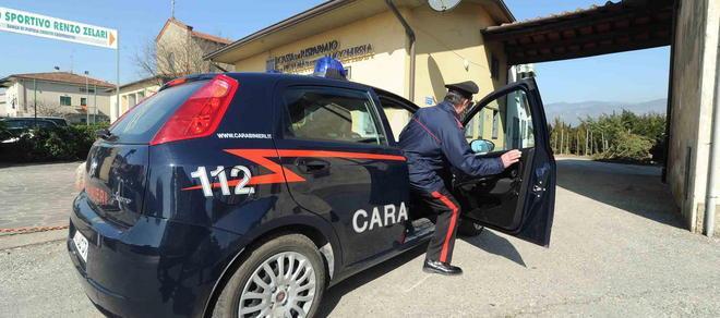 Ennesima truffa ad un vivaista della Piana 
