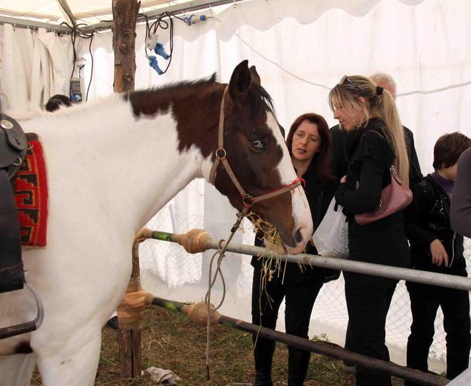 Tre giorni di fiera con 400 espositori per Ognissanti 