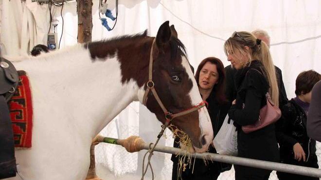 Tre giorni di fiera con 400 espositori per Ognissanti