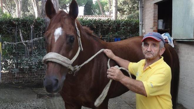 Quella di Levan è stata una vittoria tutta made in Maremma