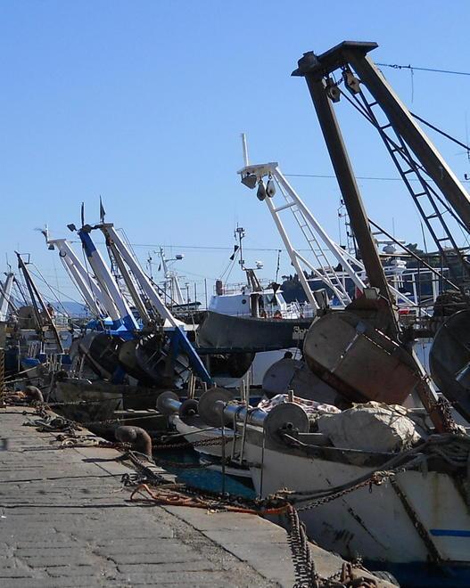 Riparte l’attività di pesca Ma la richiesta è in calo