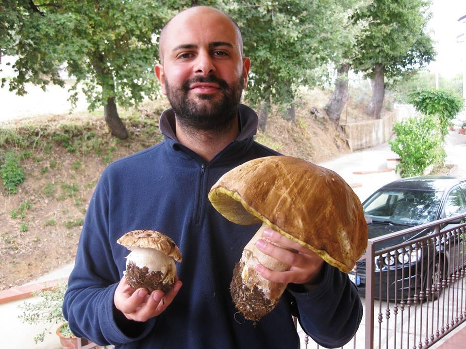 Funghi da record nelle foto dei lettori 