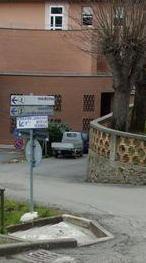 Mangiano funghi velenosi in cinque ricoverati all’ospedale 