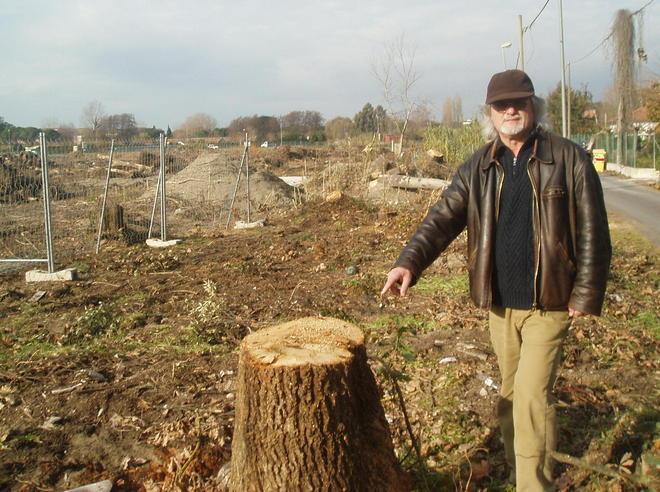 Italia Nostra contro la strage degli alberi 