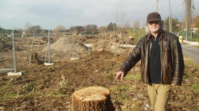 Italia Nostra contro la strage degli alberi