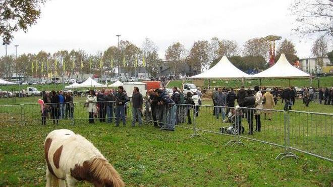 Al via fiera del bestiame e mercato agricolo