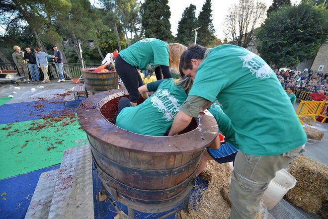 Gambassi perde ma la festa dell’"Uva pesta" in piazza diverte 