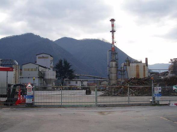 Alce, i dati sulle emissioni dividono anche i medici 