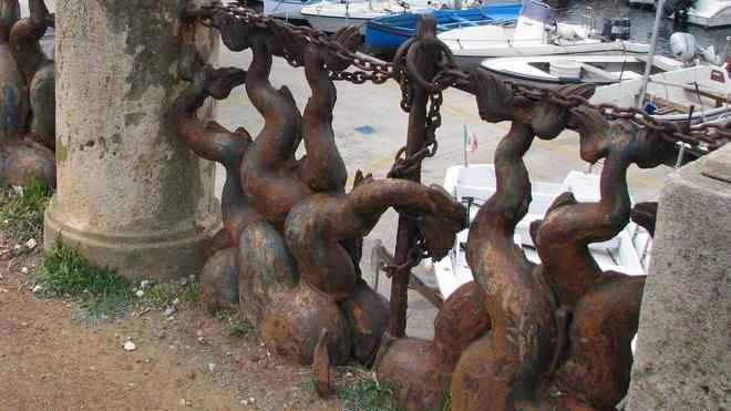 A caccia di fondi per i “Delfini”
