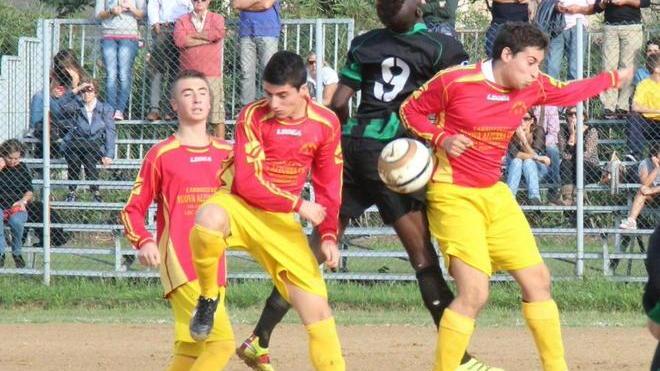 La zampata della Pro Livorno Sorgenti