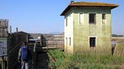 Raffica di iniziative al centro visite di Castelmartini