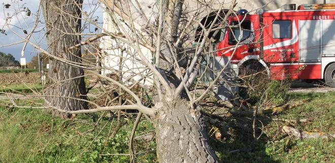 Numerosi gli alberi caduti per il vento