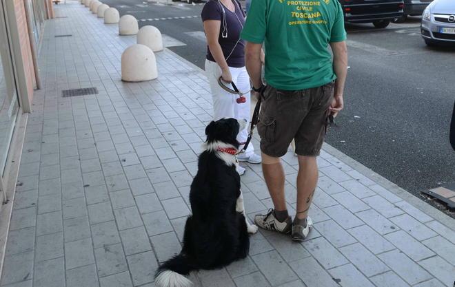 Vietato l’ingresso al cane, la padrona protesta 