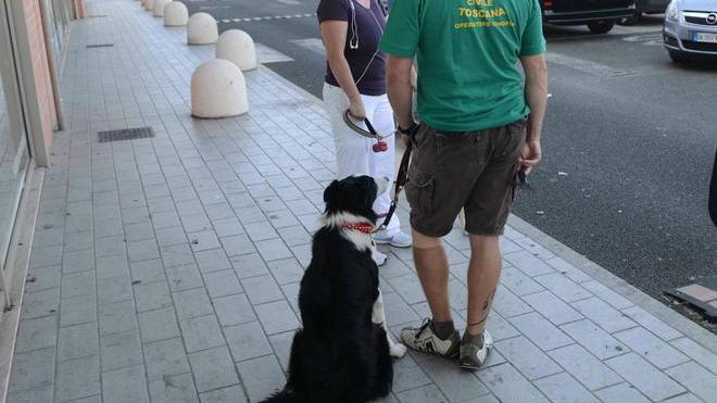 Vietato l’ingresso al cane, la padrona protesta