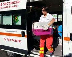 Svs in soccorso solo di animali di privati 