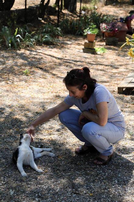 I mici sono più sereni, il gattile di Empoli è salvo 