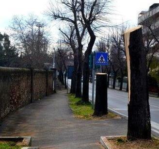 Via Massetana, il taglio è sospeso 
