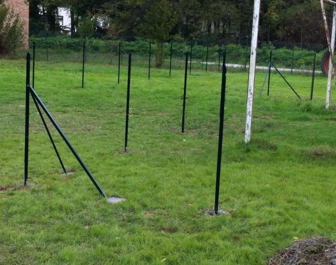 A Certaldo un campo da calcio destinato all’agility dog 