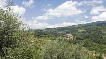 Festa d’autunno, il trionfo dell’olio