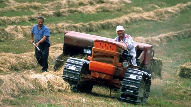 Agricoltura conservativa progetto da 200mila euro