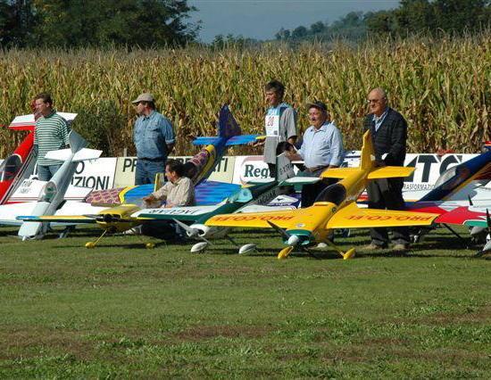 Troppi aeroplanini in volo le pecore sono stressate