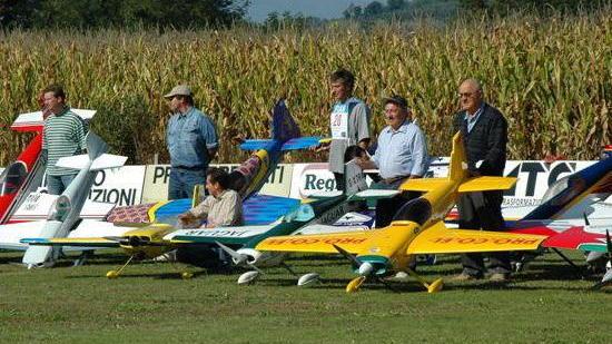 Troppi aeroplanini in volo le pecore sono stressate