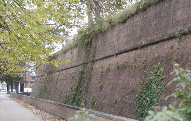 Via le erbacce infestanti dalle Mura 