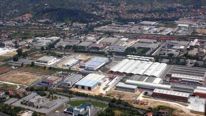 Imprese: fare rete per lo sviluppo
