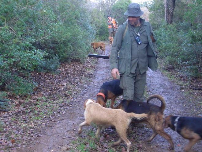 Cane da caccia finisce in una buca, salvato dopo una notte 